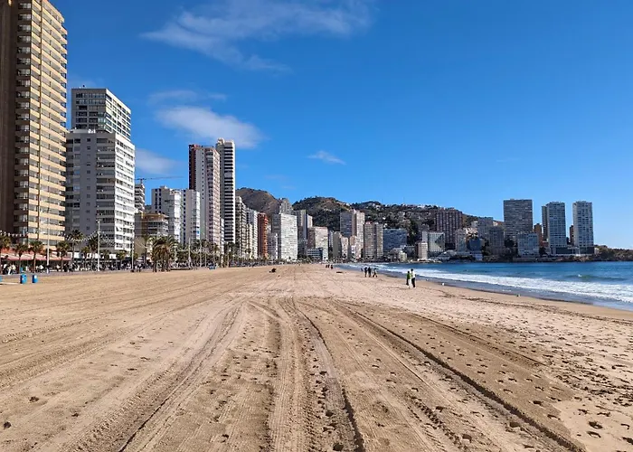 Pato Design Benidorm