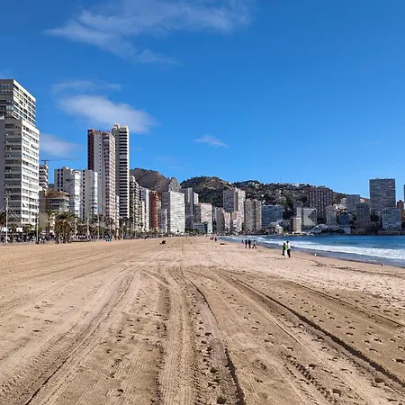 Pato Design Benidorm